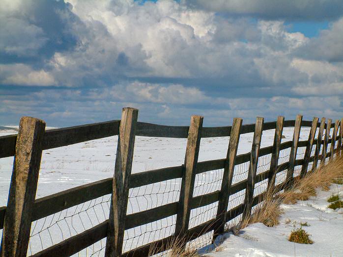 Snow, Bodmin Moor, February 2004