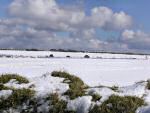 Snow, near Colliford Lake