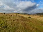 Gold-diggings Quarry, Craddock Moor