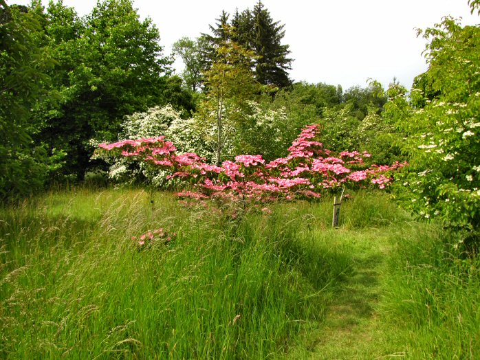 Antony House and Gardens