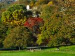 Saltram House