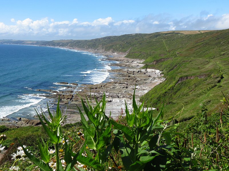 Whitsand Bay