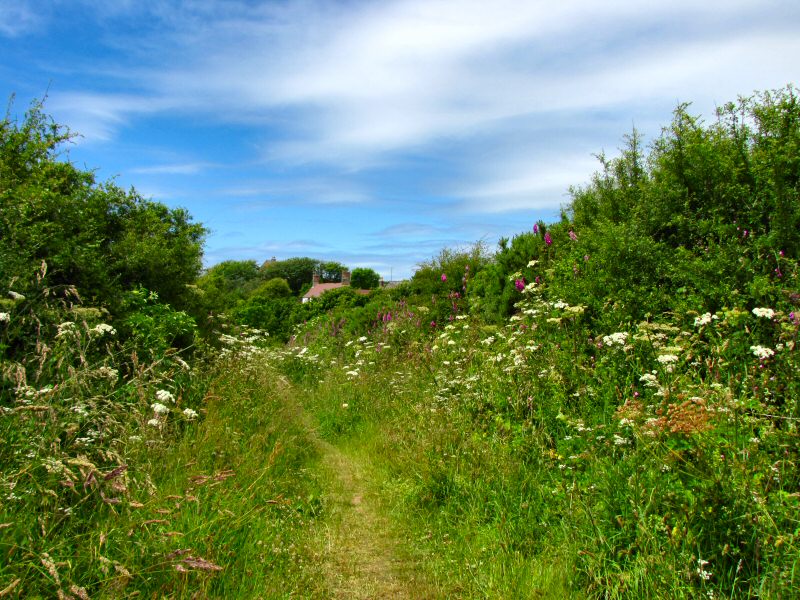 Approaching Wiggle Farm