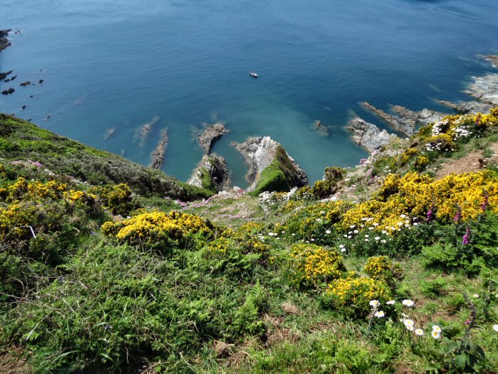 Rame Head