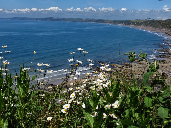 Whitsand Bay