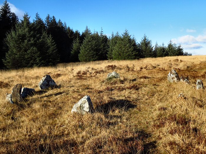 Bellever Ring Cairn 12a