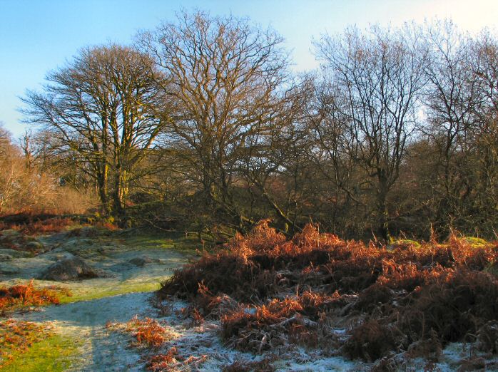 Burrator, Dartmoor