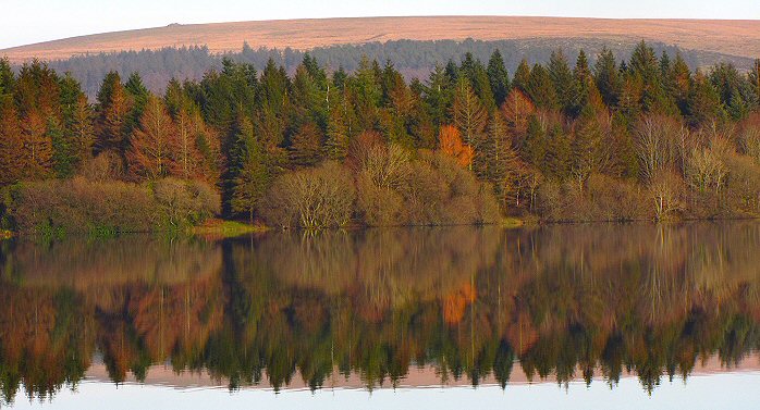 Burrator, Dartmoor