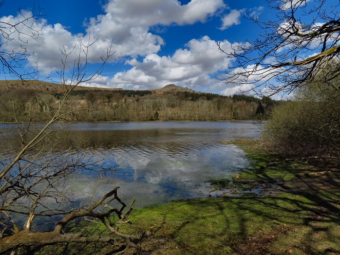 Burrator, Dartmoor