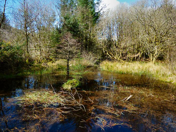 Burrator, Dartmoor