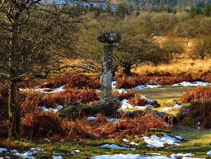 Burrator, Dartmoor