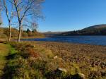  Burrator, Dartmoor