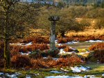  Burrator, Dartmoor