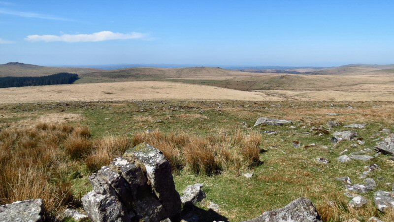 View from Cramber Tor, Dartmoor