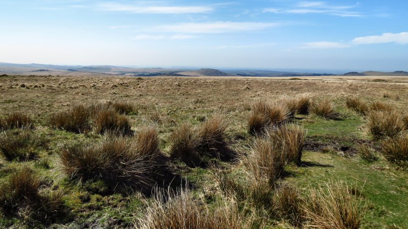 View from Cramber Tor, Dartmoor