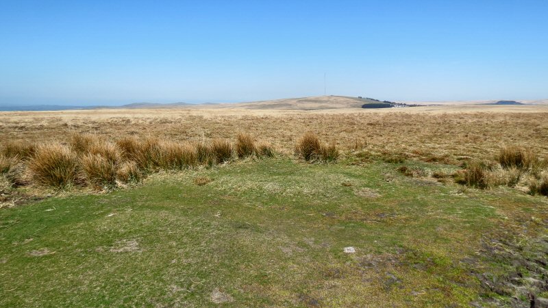 View from Cramber Tor, Dartmoor