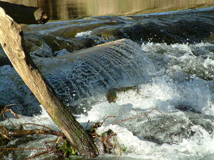 River Meavy, Dartmoor