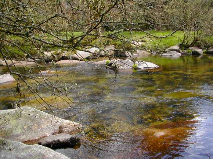 West Dart, Near Hexworthy