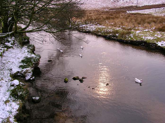 River Dart, Two Bridges, Dartmoor