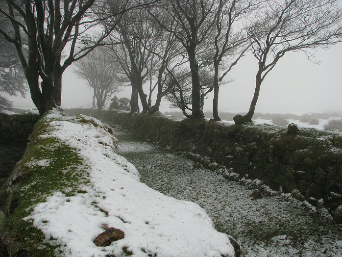 Snowy Lane, Near Merrivale