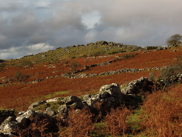 Down Tor, Dartmoor