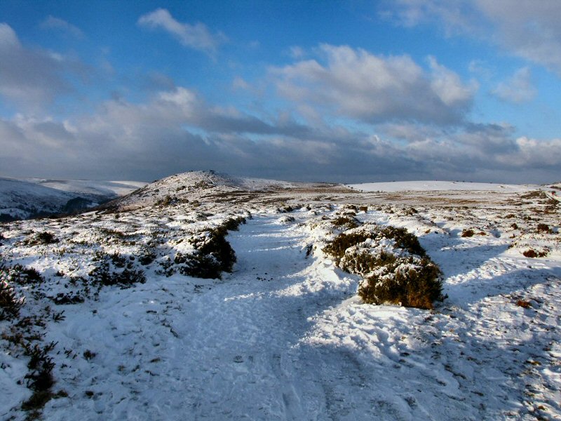 From Harefoot Cross looking towards Bonehill