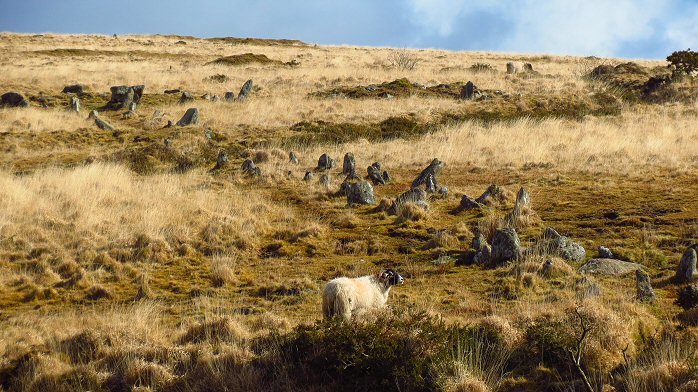 Hart Tor Stone Row