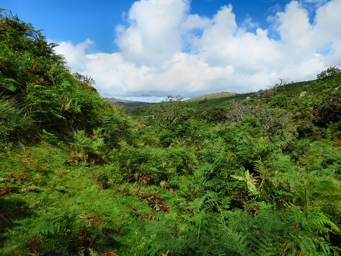 Deancombe Valley