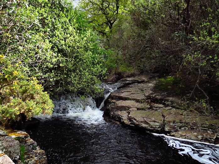 Avon valley, near Shipley Bridge, Dartmoor