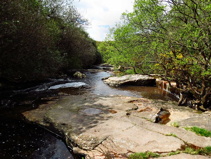 Avon valley, near Shipley Bridge, Dartmoor