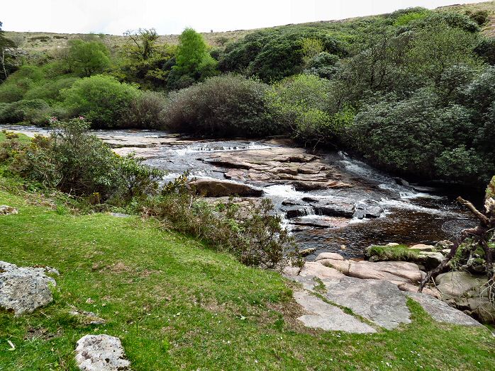 Avon valley, near Shipley Bridge, Dartmoor