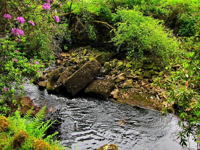 Avon valley, near Shipley Bridge, Dartmoor