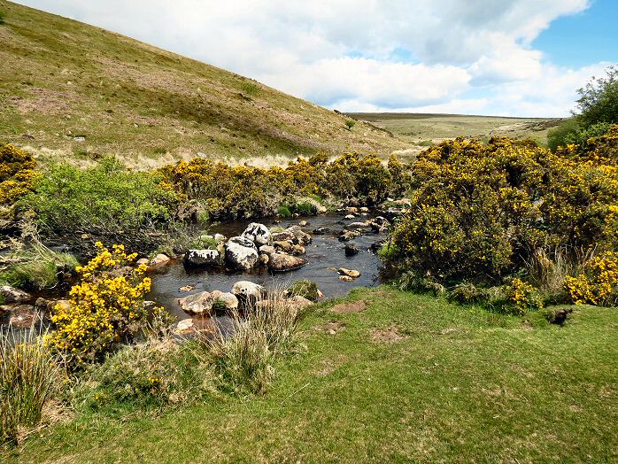 Avon valley, near Shipley Bridge, Dartmoor