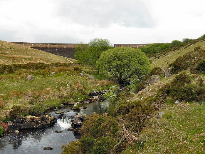 Avon valley, near Shipley Bridge, Dartmoor