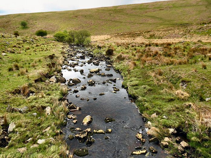 Avon valley, near Shipley Bridge, Dartmoor