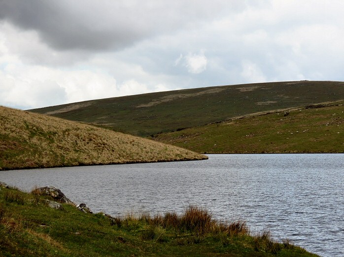 Avon valley, near Shipley Bridge, Dartmoor