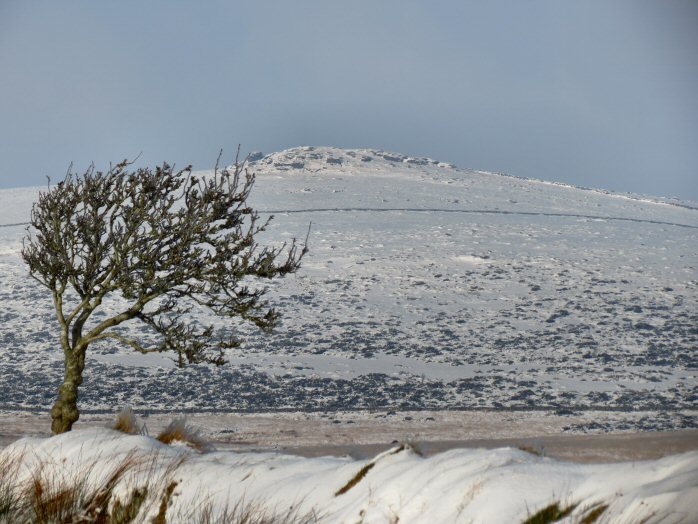 Snow, Jan 2013, Higher White Tor