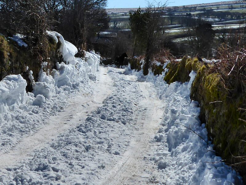 Burrator to Sheepstor Village