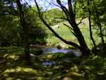 Near Burrator, Dartmoor