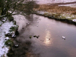 West Dart Rivert, Two Bridges