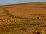 Down Tor Stone Row, Dartmoor