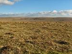 Naker's Hill, Fox Tor Mire