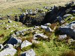 Ingra Tor, Dartmoor