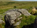 Ingra Tor, Dartmoor