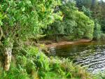 Venford Reservoir