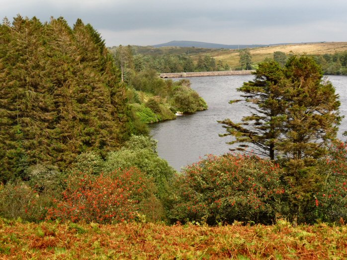 Venford Reservoir, Dartmoor