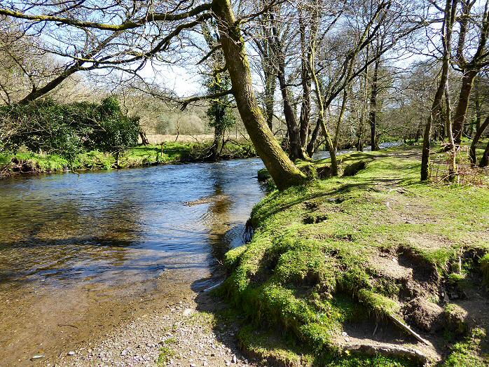 River Walkham, Nr Bedford Bridge, Dartmoor