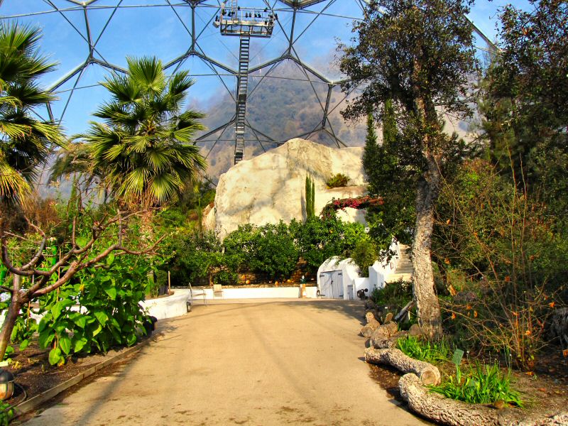 Inside the Mediterranean Biome