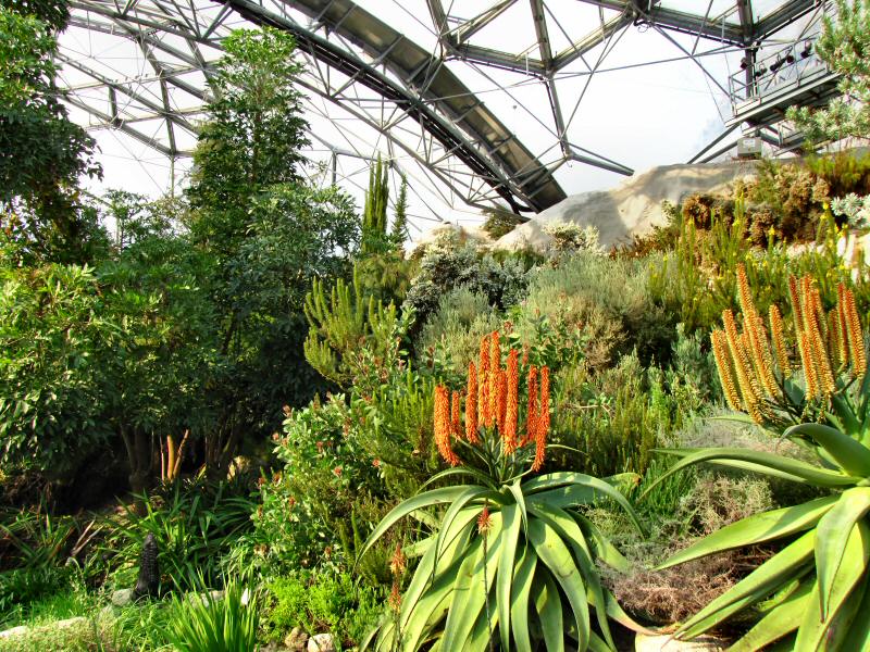 Inside the Mediterranean Biome