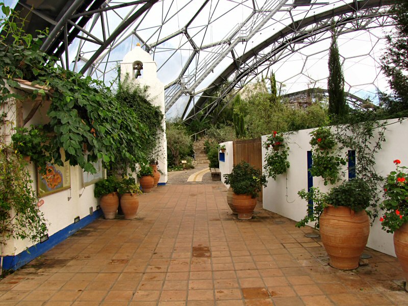 Inside the Mediterranean Biome